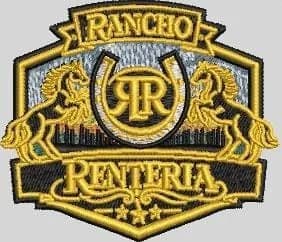 Custom Motorcycle Jacket Back Digitizing DST - Jacket Back Logo preview