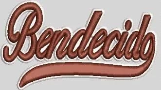 Large Scale Back Patch Embroidery Digitizing - Jacket Back Logo preview